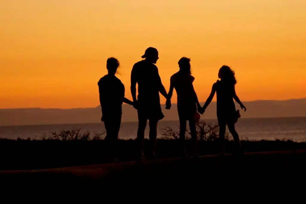 importance of family counseling in Roanoke